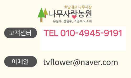 호남대표 나무시장 나무사랑농원 유실수, 정원수, 조경수 도소매